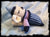 Sleeping Bag Mouse Pattern